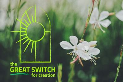 Great Switch Image