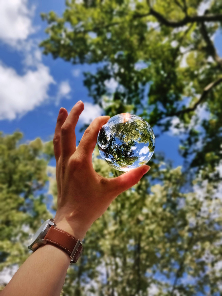 Clear glass sphere held up with trees beyond