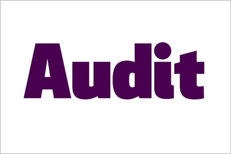 Audit and Action Plan